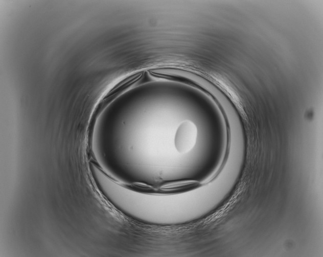 X0000096190948200801251237