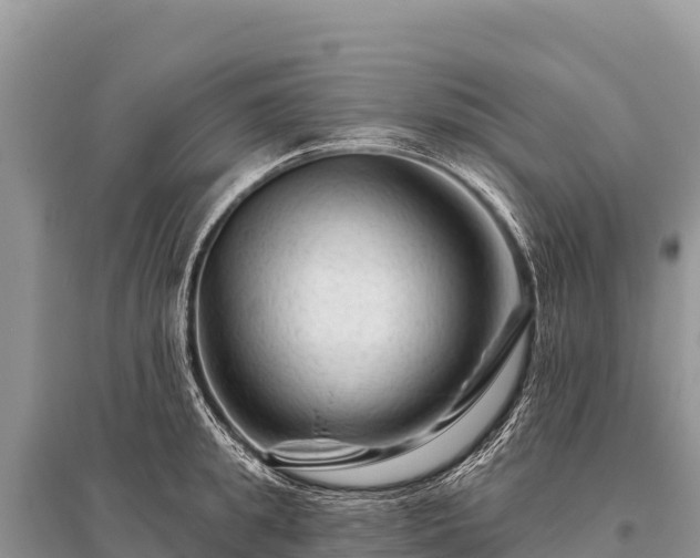 X0000096190949200801251237
