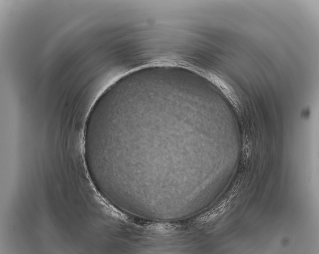X0000096190950200801251237