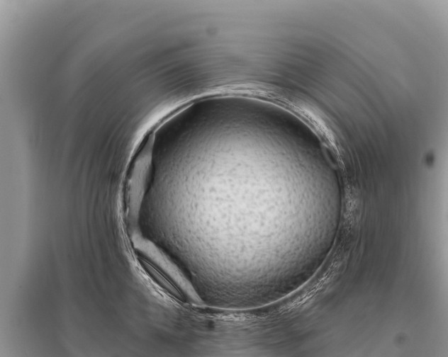 X0000096190952200801251237