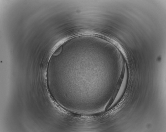 X0000096190954200801251237
