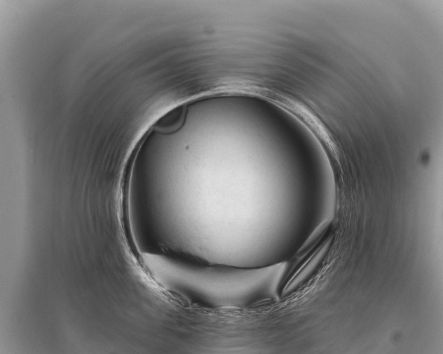 X0000096190955200801251237
