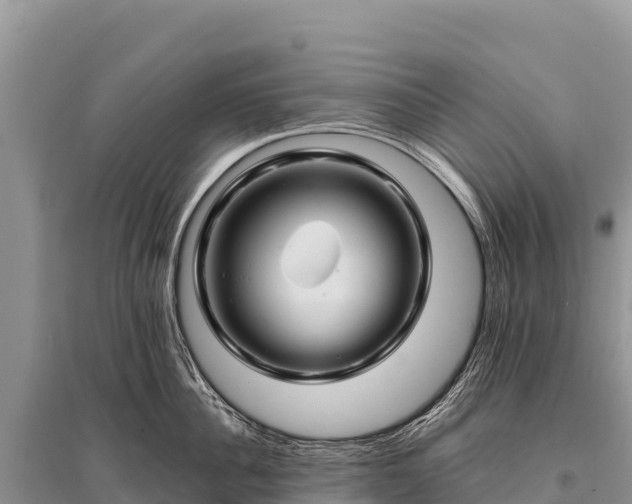 X0000096190956200801251237