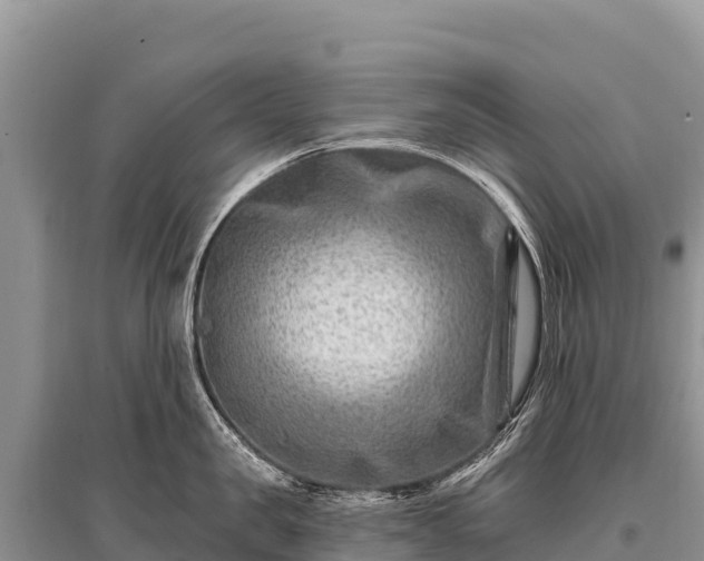X0000096190957200801251237