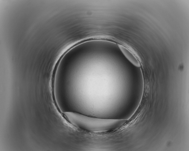 X0000096190959200801251237