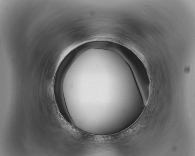 X0000096190960200801251237
