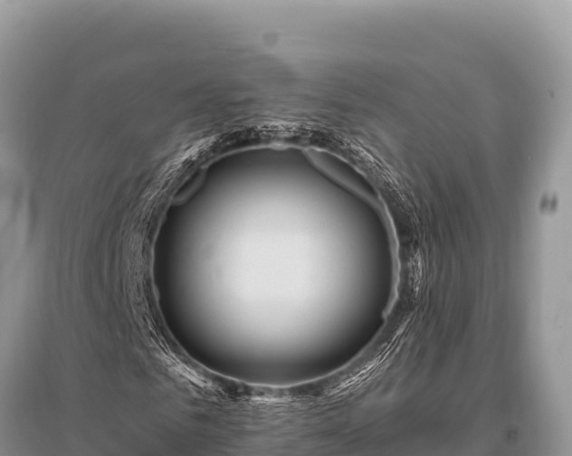 X0000096190961200801251236