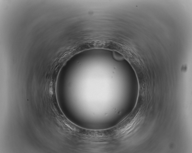 X0000096190962200801251236
