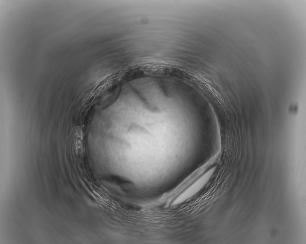 X0000096190964200801251236