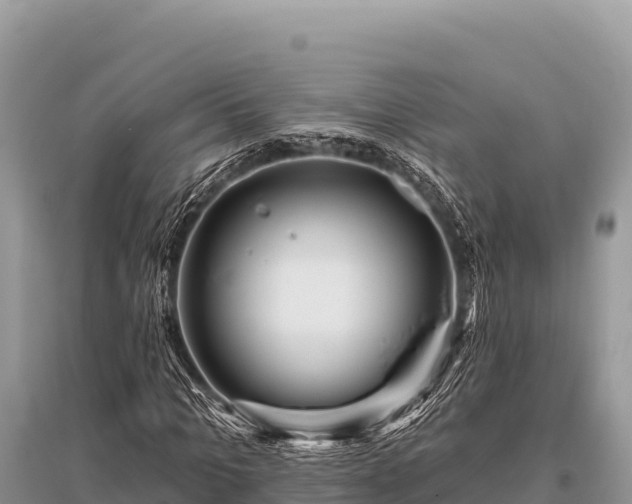 X0000096190965200801251236