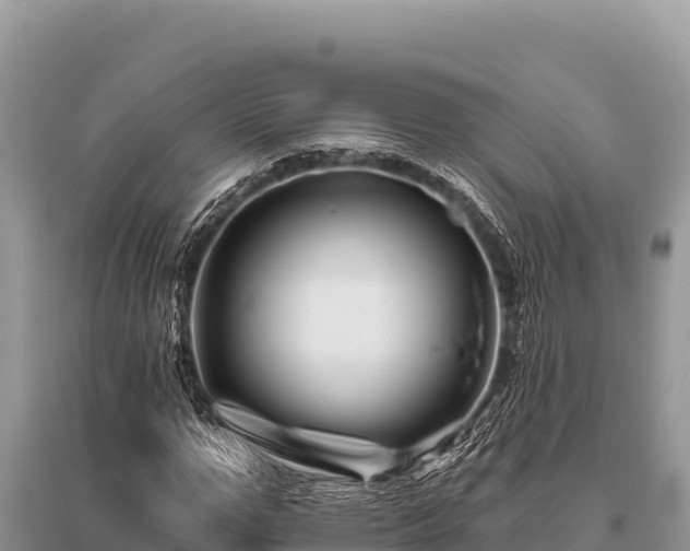 X0000096190967200801251236
