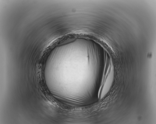 X0000096190968200801251236