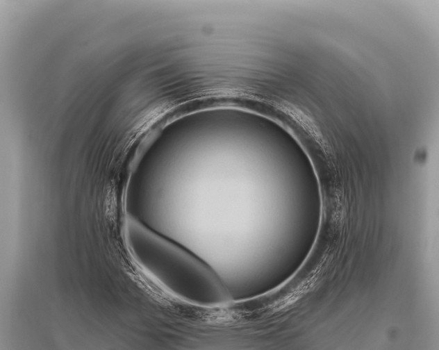 X0000096190969200801251236