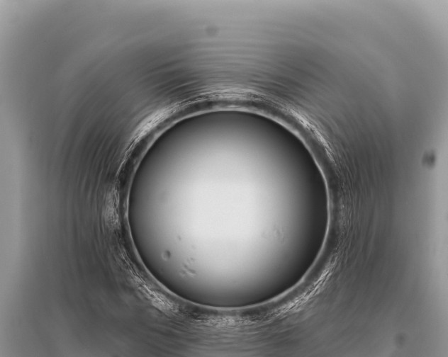 X0000096190970200801251236
