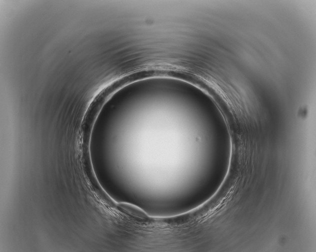 X0000096190971200801251236