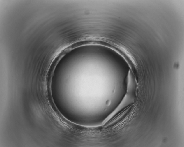 X0000096190972200801251236