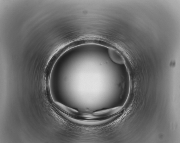 X0000096190973200801251236