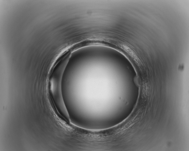 X0000096190976200801251236