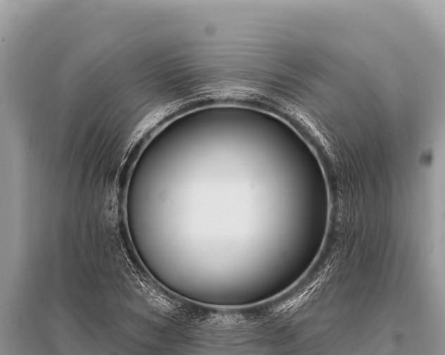 X0000096190978200801251236