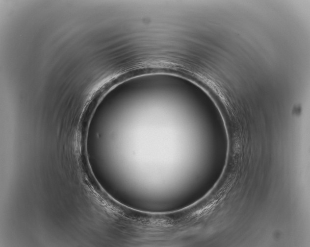X0000096190979200801251236