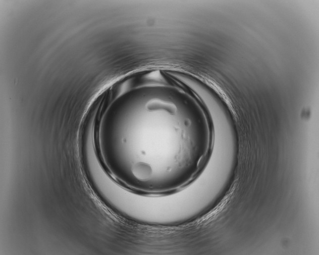 X0000096190981200801251236