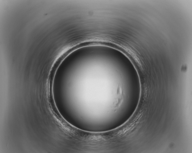 X0000096190982200801251236