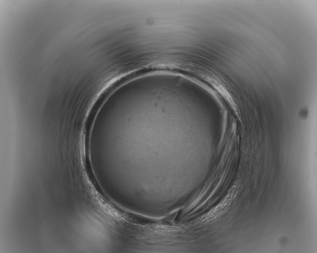X0000096190984200801251236