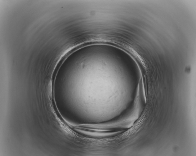 X0000096190988200801251236