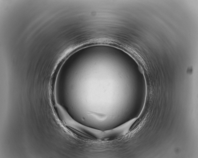 X0000096190989200801251236