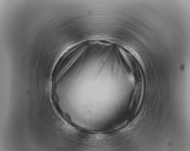 X0000096190992200801251236