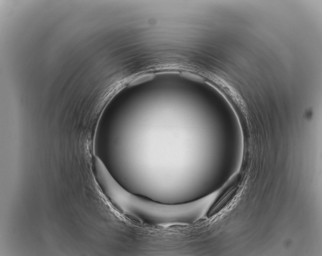 X0000096190993200801251236