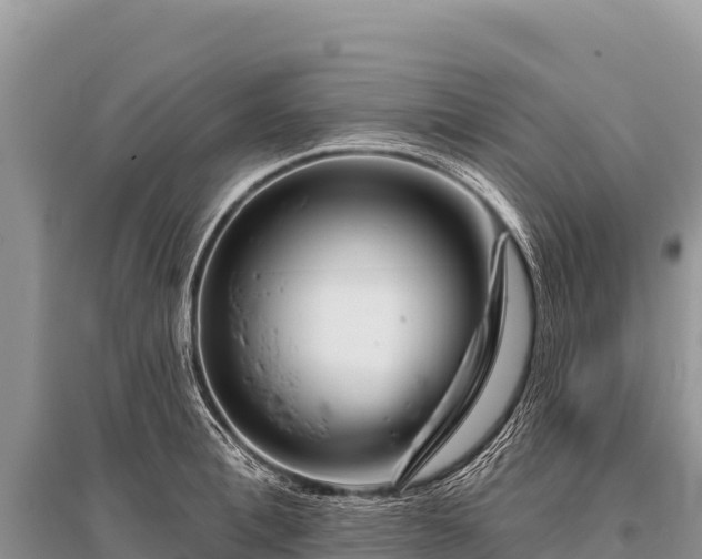 X0000096190996200801251235