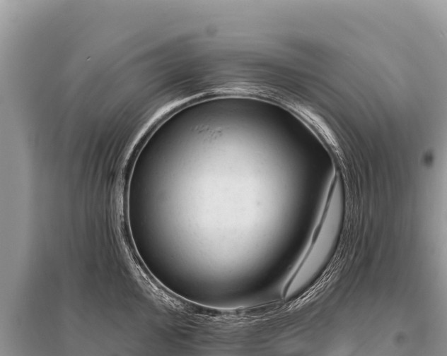 X0000096191000200801251235