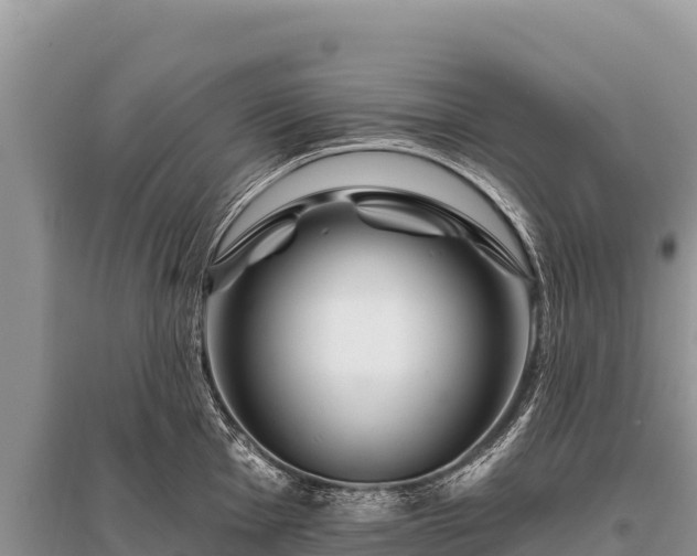X0000096191001200801251235