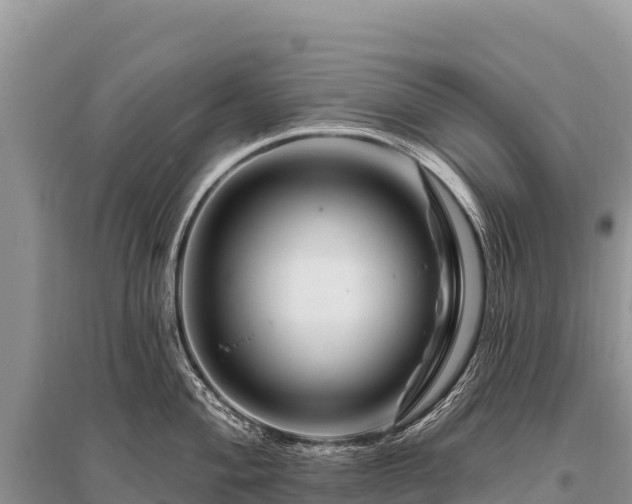X0000096191004200801251235