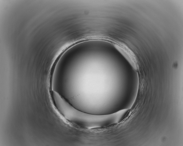 X0000096191005200801251235