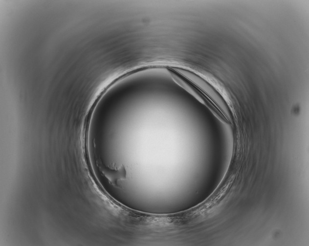 X0000096191006200801251235