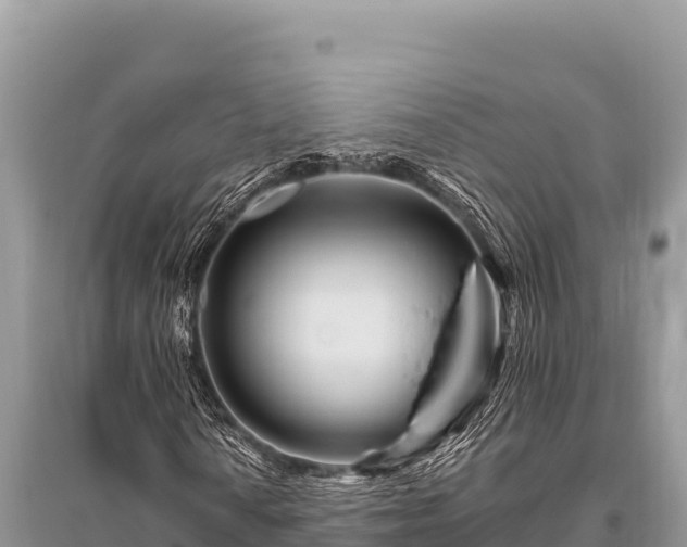X0000096191010200801251235