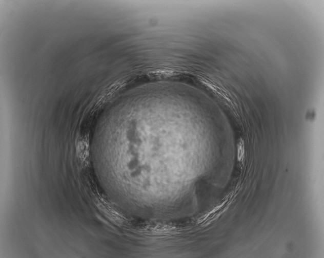 X0000096191011200801251235