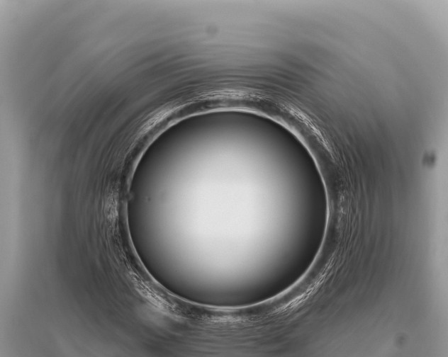 X0000096191017200801251235