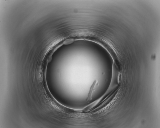 X0000096191018200801251235