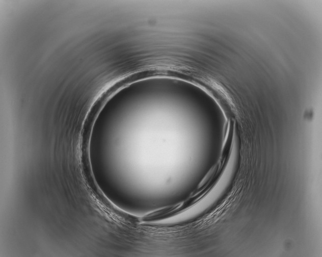 X0000096191020200801251235