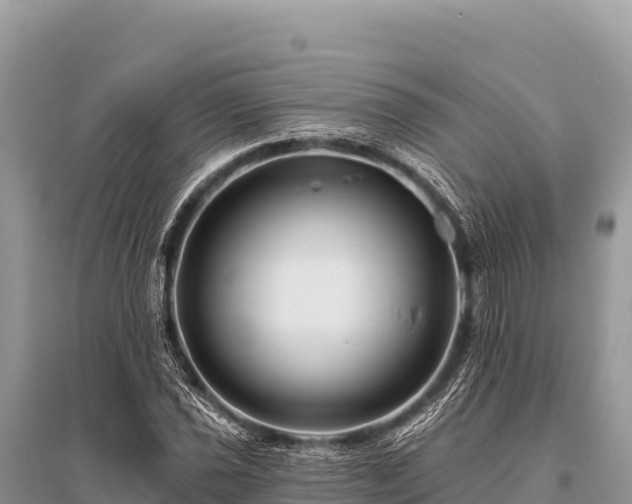 X0000096191021200801251235
