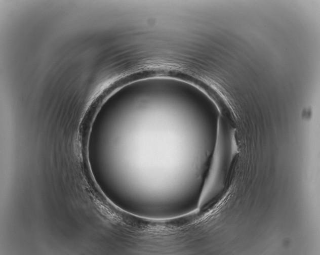 X0000096191022200801251235