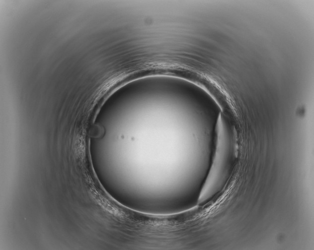 X0000096191025200801251235