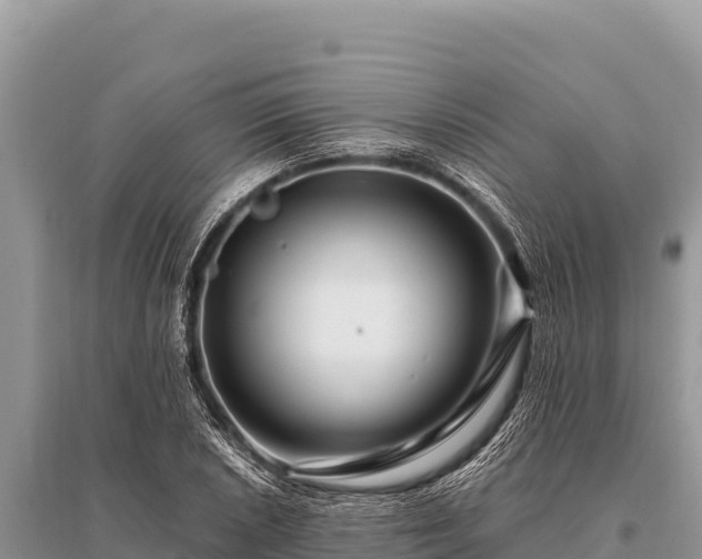 X0000096191026200801251235