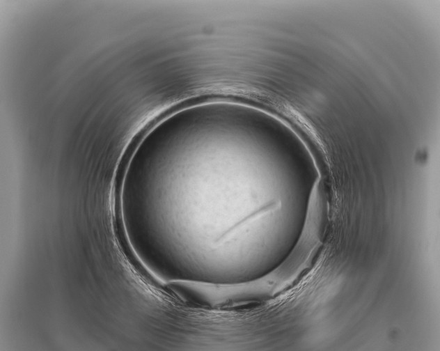 X0000096191028200801251235
