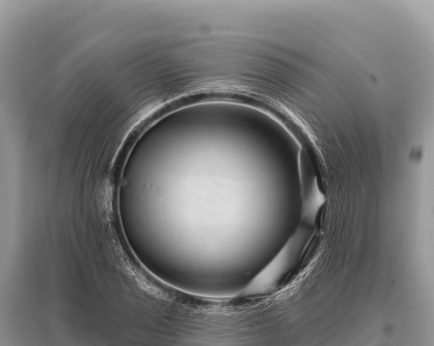 X0000096191029200801251235