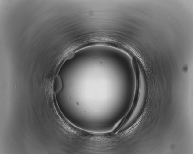 X0000096191033200801251235