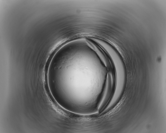 X0000096191034200801251235